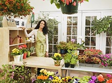 FLORICULTURA ABRE VAGAS PARA VENDEDORA E AUXILIAR DE FLORISTA