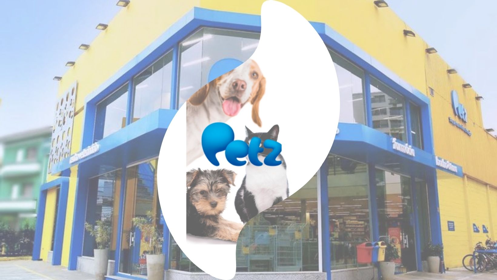 FAÇA PARTE DE UMA DAS MAIORES GIGANTES DO SETOR PET DO BRASIL: A PETZ ESTÁ COM MAIS DE 360 OPORTUNIDADES EM ABERTO