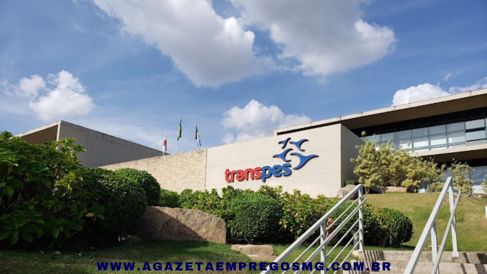 TRANSPES ABRE PROCESSO SELETIVO PARA TODAS AS ÁREAS, CONFIRA!